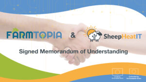 SheepHeetIt & Farmtopia