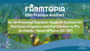 Plum Orchards: Smart4 Plum Practice Abstract